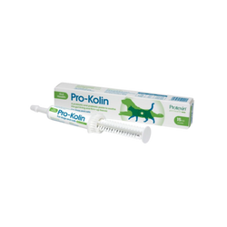 PRO-KOLIN PET SYRINGES (L) 60ML