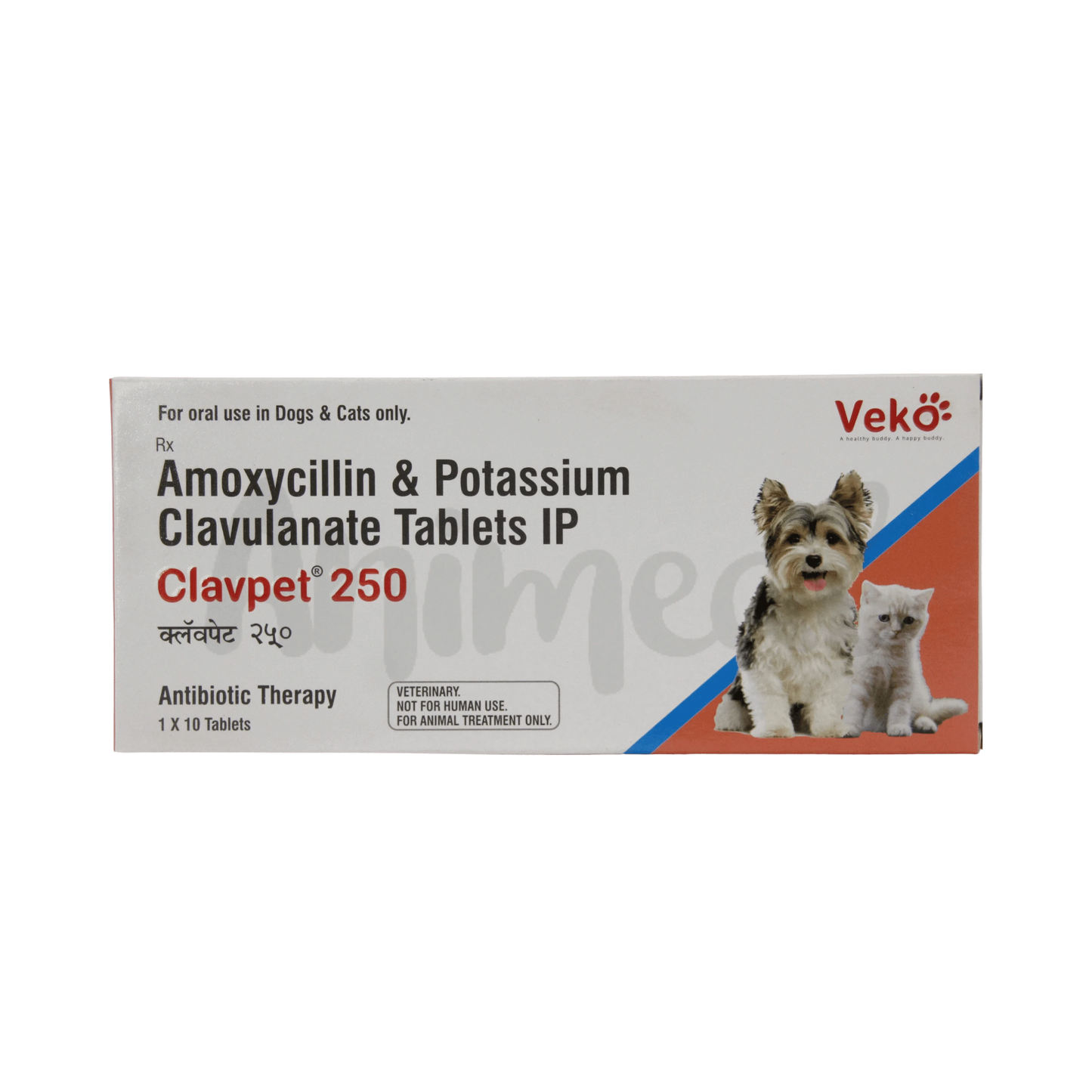 CLAVPET 250MG TABLET - Animeal