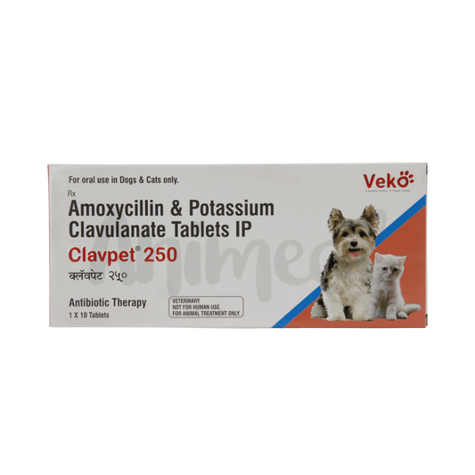 CLAVPET 250MG TABLET - Animeal