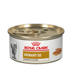 RC URINARY S/O CAT GRAVY POUCH