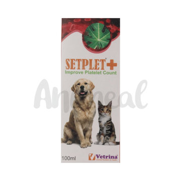 SETPLET PLUS SYRUP 100ML