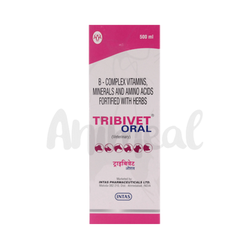 TRIBVET ORAL SYRUP 500ML