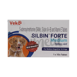 SILBIN FORTE MEDIUM TABLET 10TAB