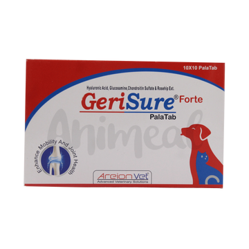 GERISURE FORTE TABLET 10TAB