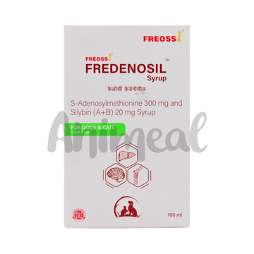 FREOSSI FREDENOSIL SYRUP 100ML