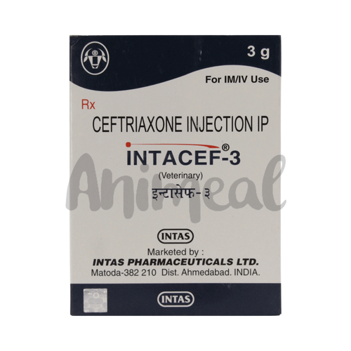 INTACEF-3 INJ - Animeal