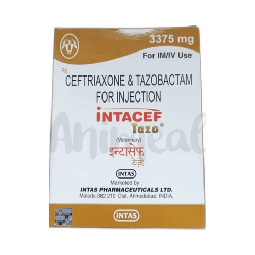 INTACEF TAZO 3375MG INJ - Animeal
