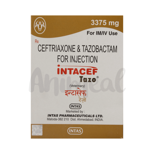 INTACEF TAZO 3375MG INJ - Animeal