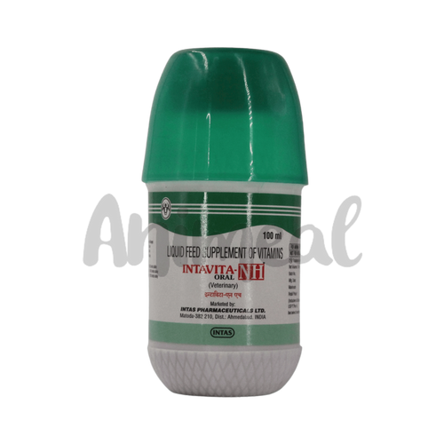 INTAVITA NH SYRUP - Animeal