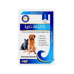 Igg-Maxx Tablet for Dogs and Cats, 10 Tablets - Animeal