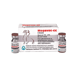 Indian Immunologicals Megavac-cc for Dogs, 1ml - Animeal