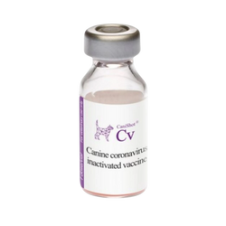 Intas Canishot CV Canine Coronavirus Vaccine for Dogs - Animeal