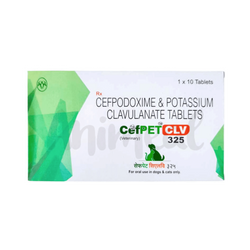 Intas Cefpet CLV 325 Cefpodoxime Clavulanate Tablets, 10 Tablets - Animeal