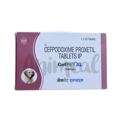 Intas Cefpet XL Cefpodoxime Tablets for Dogs, 10 Tablets - Animeal