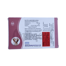 Intas Cefpet XL Cefpodoxime Tablets for Dogs, 10 Tablets - Animeal