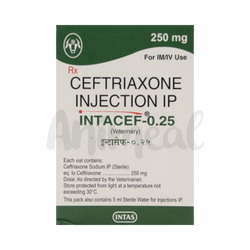 Intas Intacef 250mg Ceftriaxone Injection for Dogs and Cats, 1 Vial - Animeal