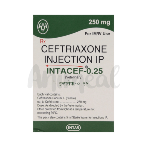 Intas Intacef 250mg Ceftriaxone Injection for Dogs and Cats, 1 Vial - Animeal