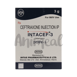 Intas Intacef-3 Ceftriaxone Injection for Cattle, 1 Vial - Animeal