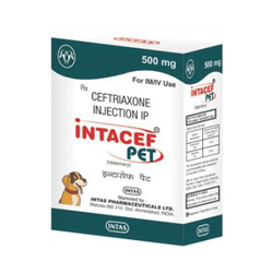 Intas Intacef Pet 500mg Ceftriaxone Injection for Pets, 1 Vial - Animeal