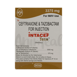 Intas Intacef Tazo 3375mg Ceftriaxone Tazobactam Injection, 1 Vial - Animeal