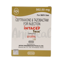 Intas Intacef Tazo Pet 562.5mg Ceftriaxone Tazobactam Injection, Vial - Animeal
