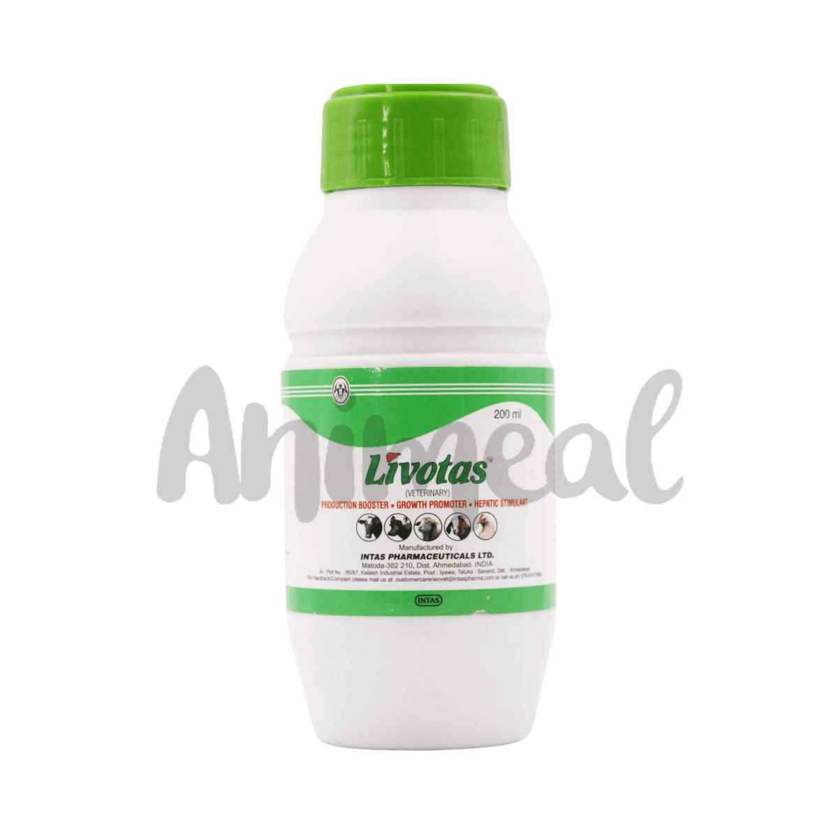 Intas Livotas Vet Syrup, 200ml - Animeal