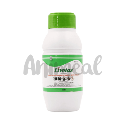 Intas Livotas Vet Syrup, 200ml - Animeal