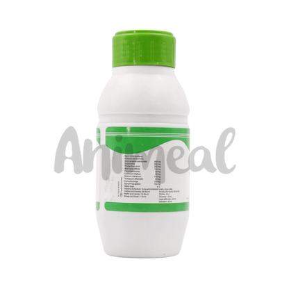 Intas Livotas Vet Syrup, 200ml - Animeal