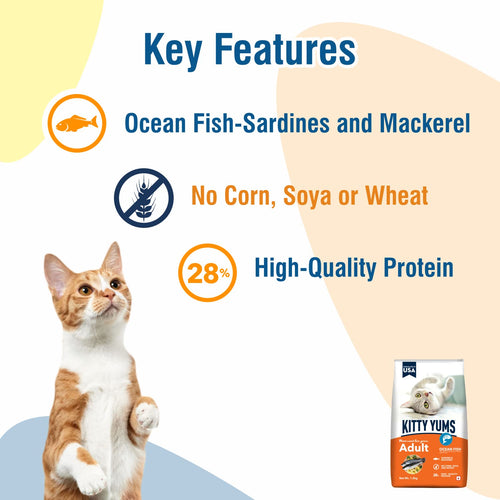 KITTY YUMS ADULT CAT DRY FOOD [20 KG] - Animeal