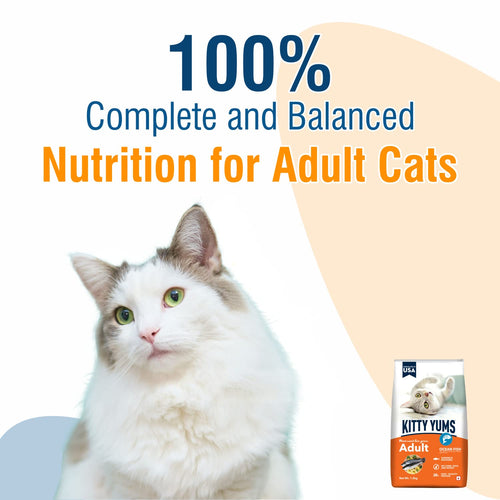 KITTY YUMS ADULT CAT DRY FOOD [20 KG] - Animeal