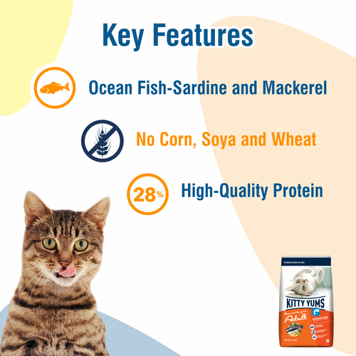 KITTY YUMS CAT ADULT DRY FOOD [3 KG] - Animeal