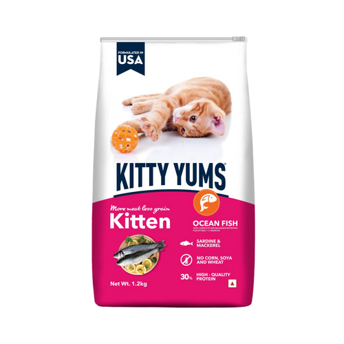 KITTY YUMS KITTEN (S) - Animeal