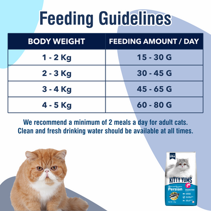 KITTY YUMS PERSIAN CAT DRY FOOD [1.2 KG] - Animeal