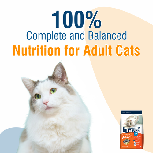 Kitty Yums Adult Dry Cat Food, 3kg - Animeal
