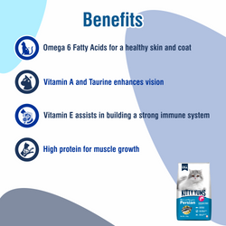 Kitty Yums Persian Dry Food [3 KG] - Animeal