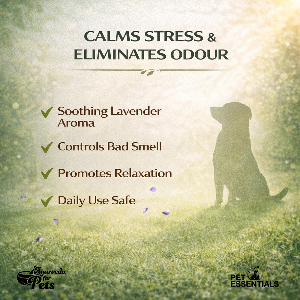 LAVENDER ANTI ODOUR SPRAY (200ML) - Animeal