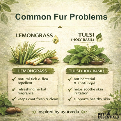 LEMONGRASS AND TULSI FURWASH AND CONDITIONER (200ML) - Animeal