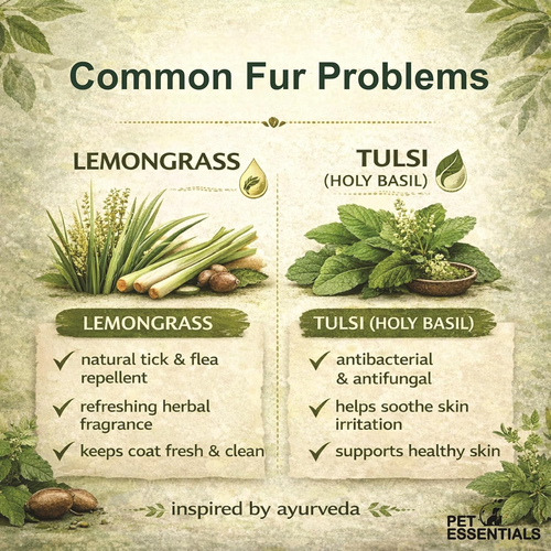 LEMONGRASS AND TULSI FURWASH AND CONDITIONER (200ML) - Animeal