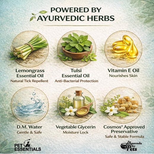 Animeal