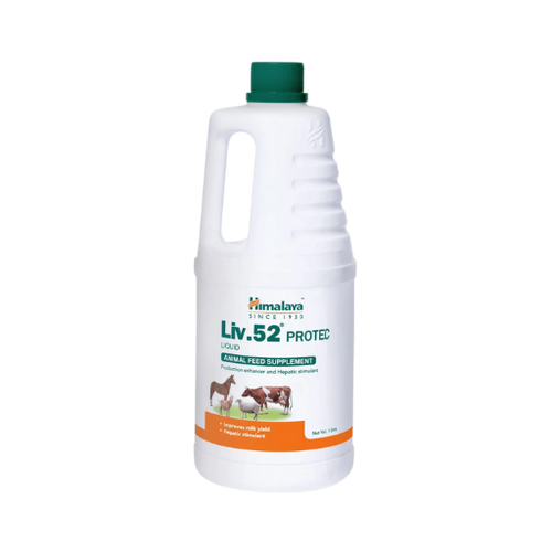 LIV-52 PROTEC SYRUP (M) - Animeal