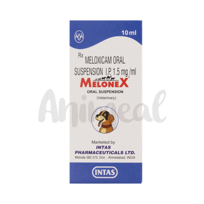 MELONEX SYRUP - Animeal