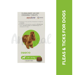 MSD Bravecto Chew for Dogs 10 to 20kg, 1 Chewable Tablet - Animeal