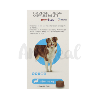 MSD Bravecto Chew for Dogs 20 to 40kg, 1 Chewable Tablet - Animeal