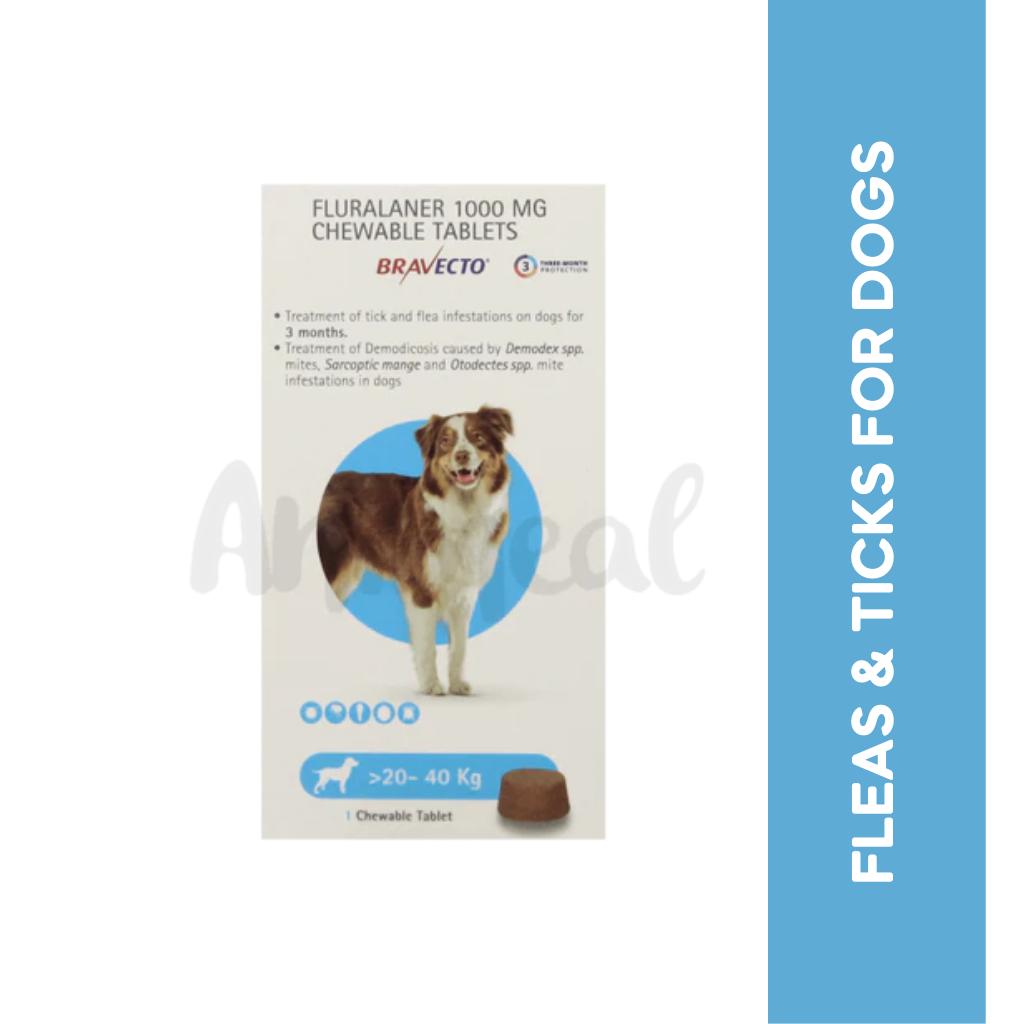 MSD Bravecto Chew for Dogs 20 to 40kg, 1 Chewable Tablet - Animeal