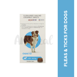 MSD Bravecto Chew for Dogs 20 to 40kg, 1 Chewable Tablet - Animeal