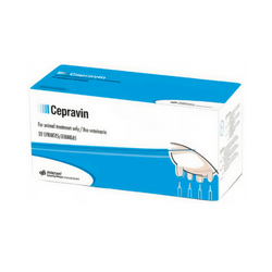 MSD Cepravin DC 250mg Dry Cow Intramammary, 3g - Animeal