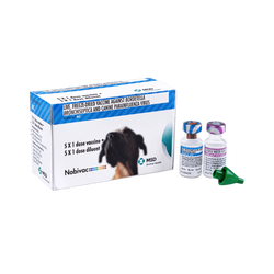 MSD Nobivac KC Kennel Cough Vaccine for Dogs, 1 Dose - Animeal