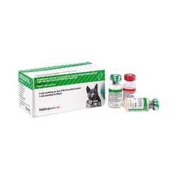 MSD Nobivac Tricat Trio Vaccine for Cats, 1 Dose - Animeal
