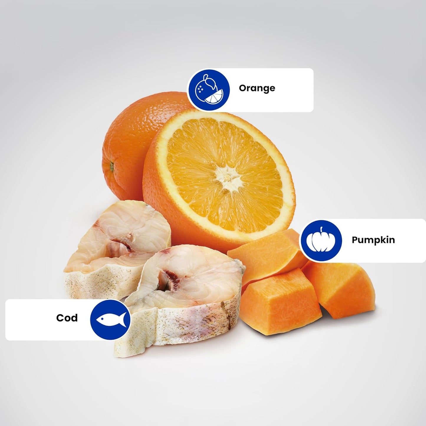 N&D OC COD ADU MAXI GF DRY FOOD [12 KG] - Animeal