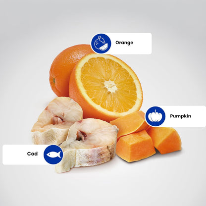 N&D OC COD ADU MAXI GF DRY FOOD [12 KG] - Animeal